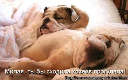 Смотрим,улыбаемся,позитивом заряжаемся!