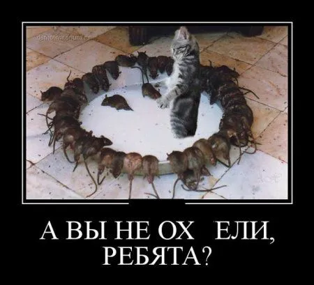 Демки, просто демки (30 шт)