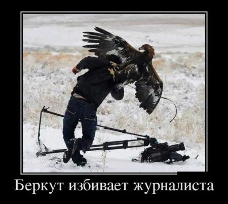 Демки, просто демки (30 шт)