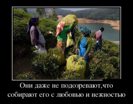 Демки, просто демки (30 шт)