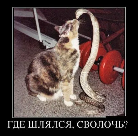 Демки, просто демки (30 шт)