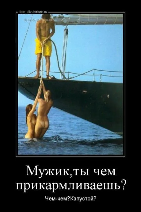В интернете пятница - это время юмора про это В интернете пятница - это время юмора про это