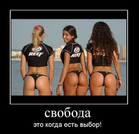 В интернете пятница - это время юмора про это В интернете пятница - это время юмора про это