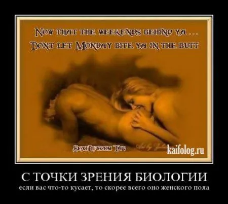 В интернете пятница - это время юмора про это В интернете пятница - это время юмора про это