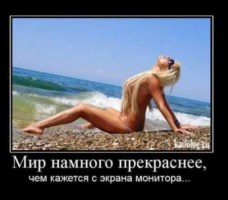 В интернете пятница - это время юмора про это В интернете пятница - это время юмора про это