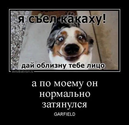 В пятницу-да наши да демотиваторы