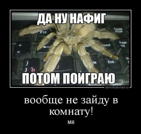 В пятницу-да наши да демотиваторы