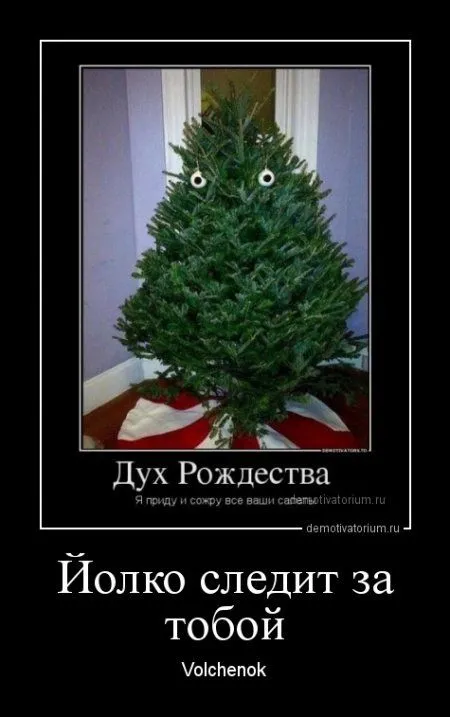 В пятницу-да наши да демотиваторы