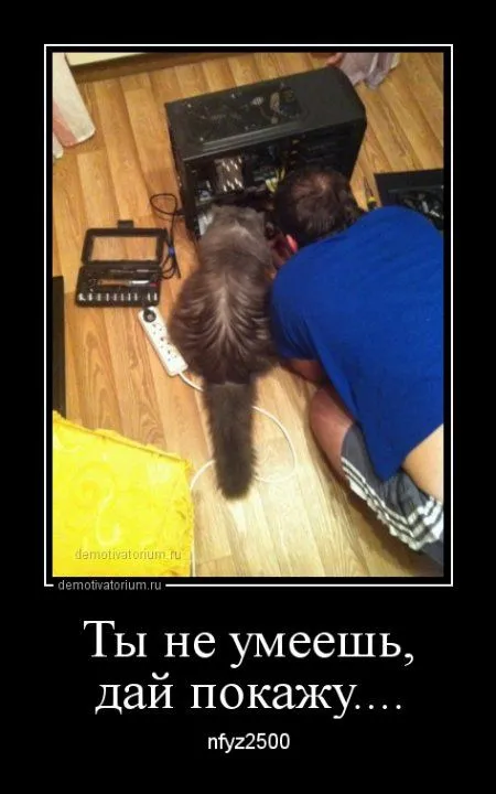 В пятницу-да наши да демотиваторы