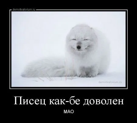 В пятницу-да наши да демотиваторы