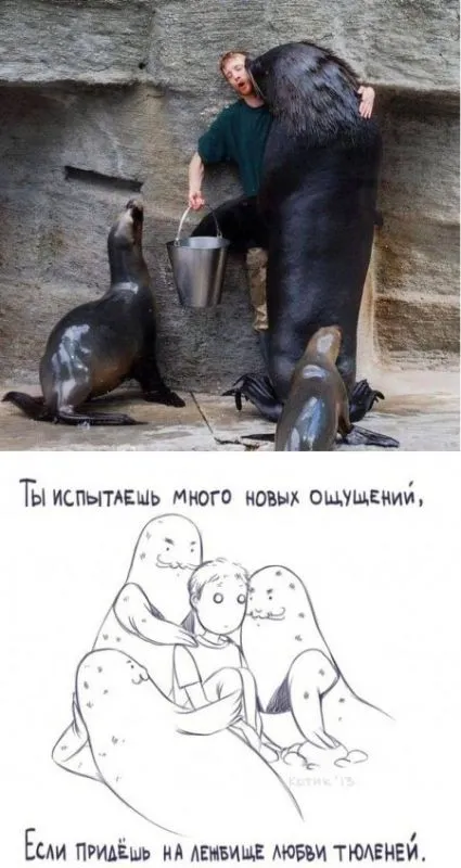 Все будет так как ты решишь, смотри прикольные карикатуры и картинки Все будет так как ты решишь, смотри прикольные карикатуры и картинки