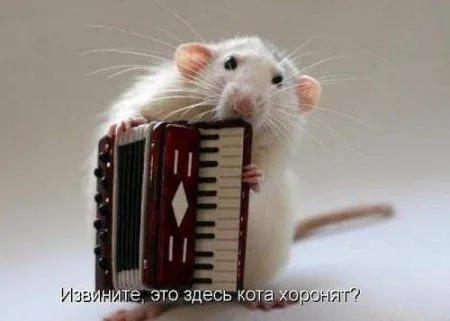 Все будет так как ты решишь, смотри прикольные карикатуры и картинки Все будет так как ты решишь, смотри прикольные карикатуры и картинки
