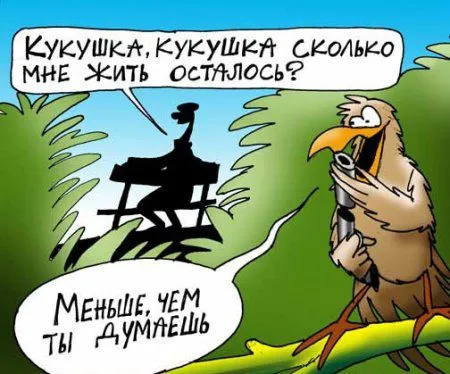 Все будет так как ты решишь, смотри прикольные карикатуры и картинки Все будет так как ты решишь, смотри прикольные карикатуры и картинки
