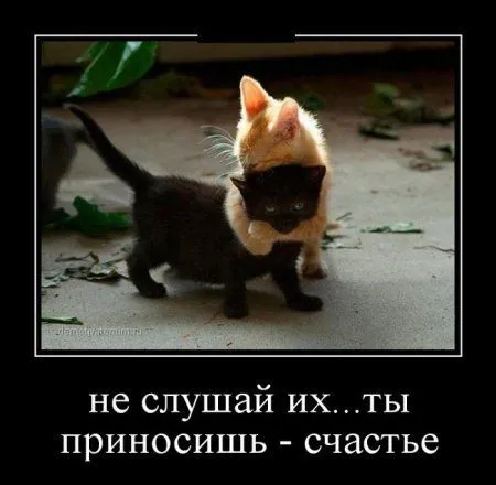 Демотиваторы. Черные рамки, светлые мысли