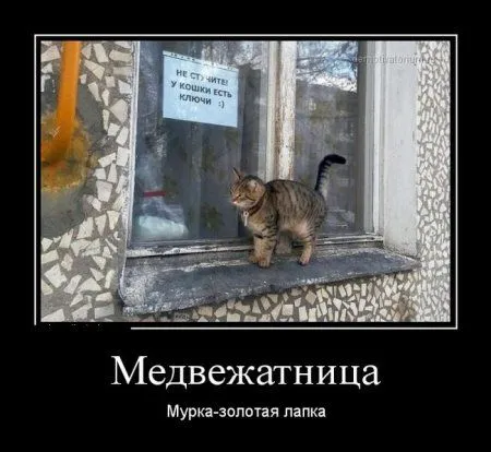 Демотиваторы. Черные рамки, светлые мысли