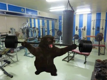 Очень опасный кот, коллекция фотожаб