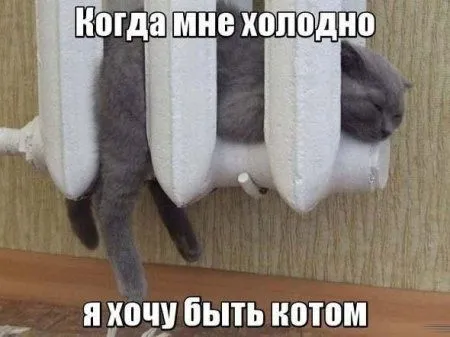 Позитив это фото, фразы и прикольные картинки