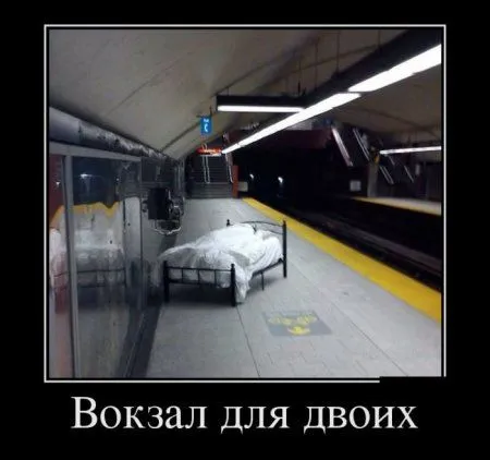 Демотиваторы + веселые картинки