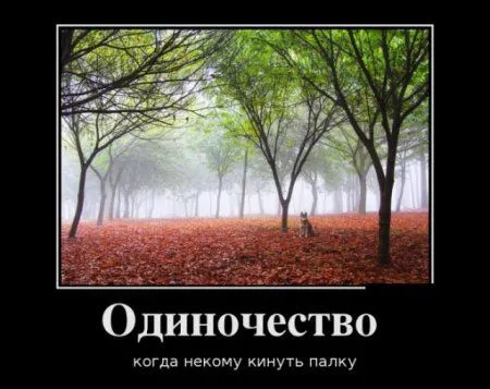 Демотиваторы + веселые картинки