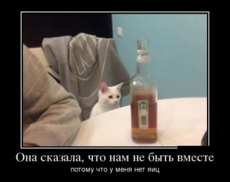 Демотиваторы + веселые картинки