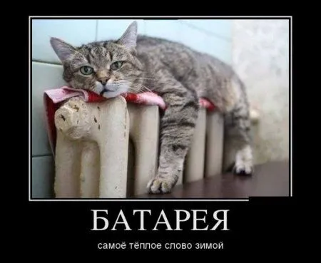 Демотиваторы + веселые картинки