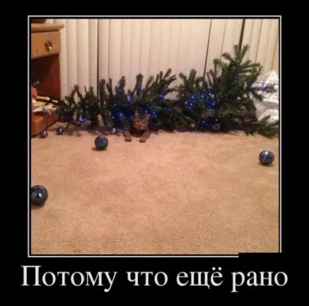 Демотиваторы + веселые картинки