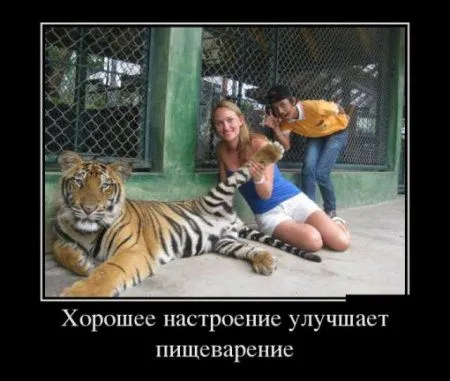 Демотиваторы + веселые картинки