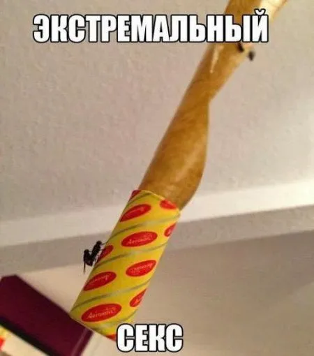Прикольные фото и картинки Прикольные фото и картинки