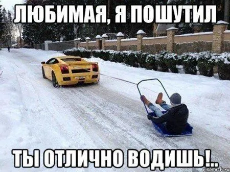 Прикольные фото и картинки