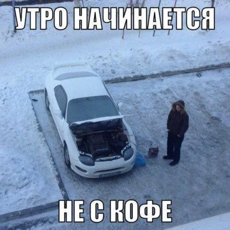 Прикольные фото и картинки Прикольные фото и картинки
