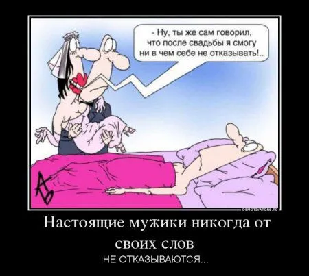 Демотиваторы в любой день хороши, но сегодня как то по особенному