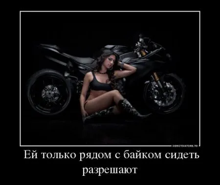 Демотиваторы в любой день хороши, но сегодня как то по особенному