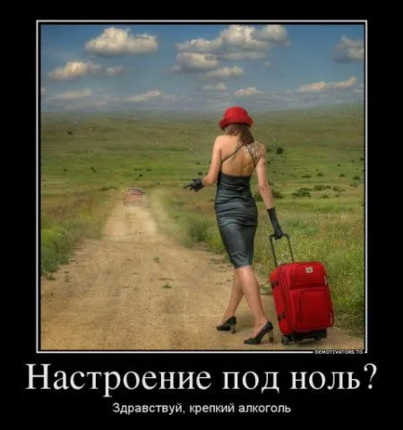 Демотиваторы в любой день хороши, но сегодня как то по особенному