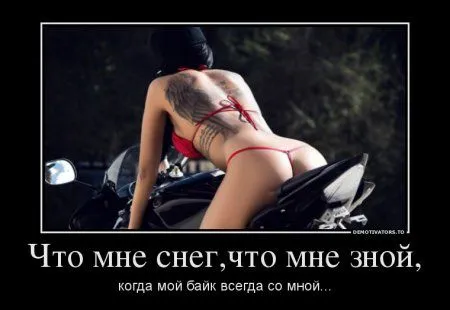Демотиваторы в любой день хороши, но сегодня как то по особенному