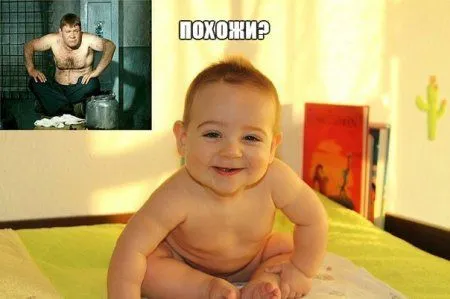 Прикольные картинки, фразы и фото, разгружайся