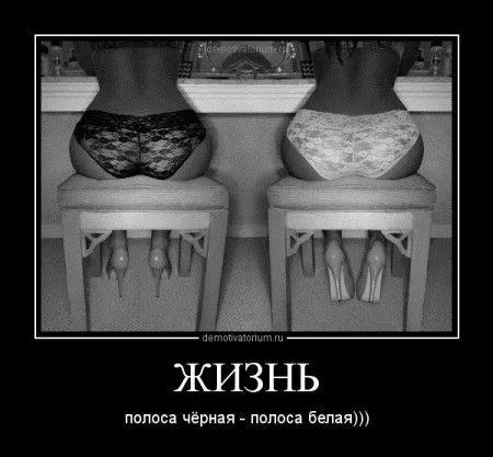 Демотиваторы, и не судите их строго... Демотиваторы, и не судите их строго...