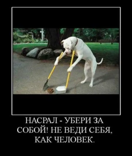 Улыбка Вам к лицу Улыбка Вам к лицу