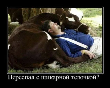 Улыбка Вам к лицу Улыбка Вам к лицу