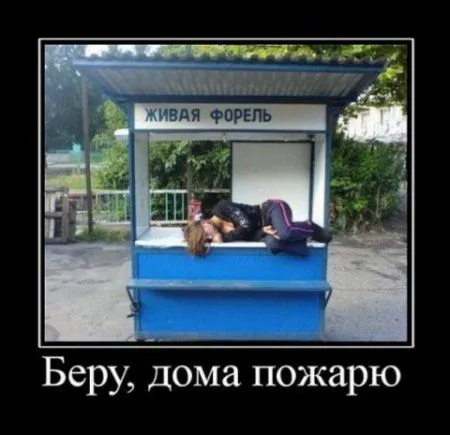 Улыбка Вам к лицу Улыбка Вам к лицу