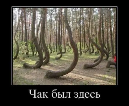 Улыбка Вам к лицу Улыбка Вам к лицу