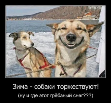 Улыбка Вам к лицу Улыбка Вам к лицу