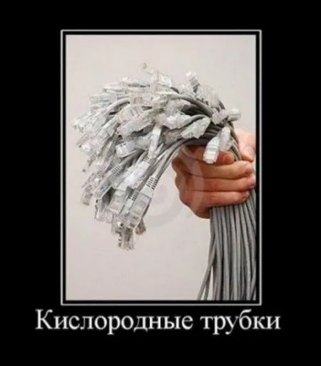 Улыбка Вам к лицу Улыбка Вам к лицу