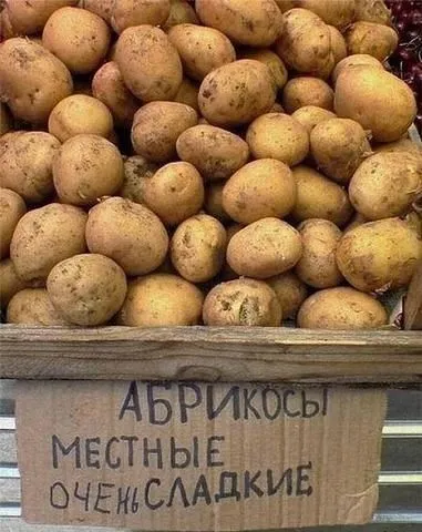 Картинки и фото приколы, всегда хватает Картинки и фото приколы, всегда хватает