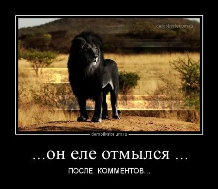 Демотиваторы буднего дня Демотиваторы буднего дня