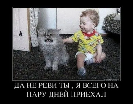 Дети в Демотиваторах Дети в Демотиваторах