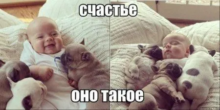 Позитивная подборка на ночь глядя
