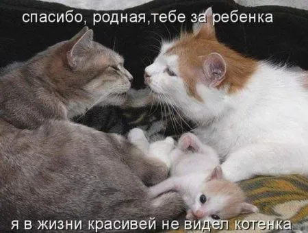 Позитивная подборка на ночь глядя