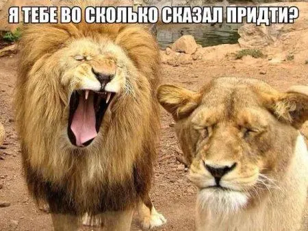 Позитивная подборка на ночь глядя