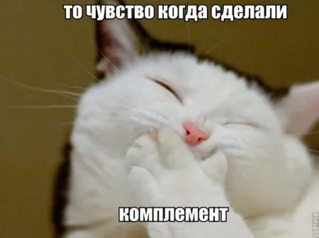 Позитивная подборка на ночь глядя