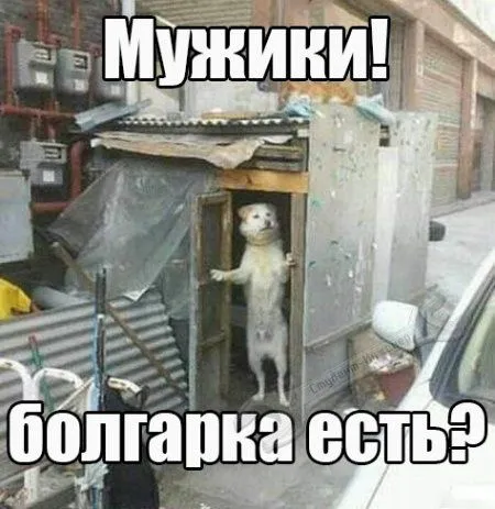 Прикольные картинки, посмотрим что на сегодня